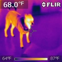Infared Scan