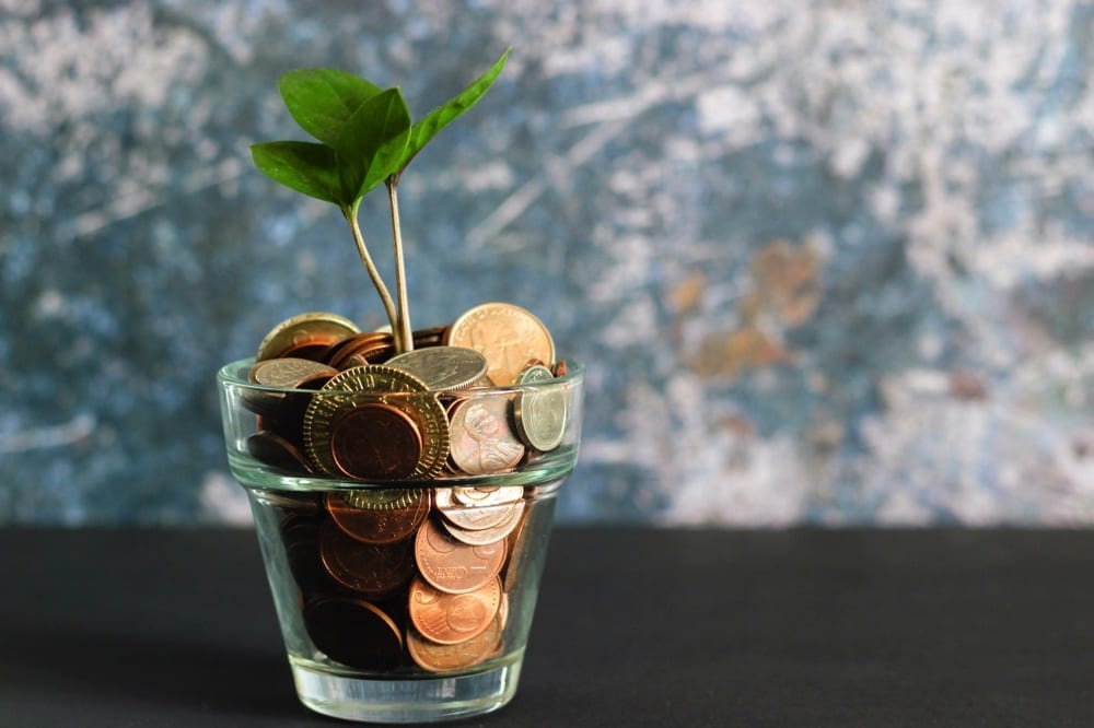 Utility Savings, Green Plant in cup of coins