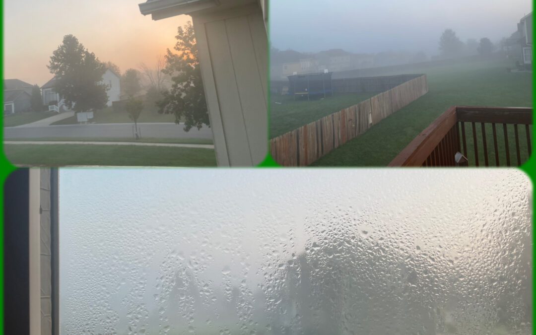 Condensation Sweating the Small Stuff: Summer and Winter Condensation Issues